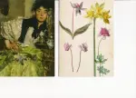 Gallery Cards