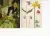 Gallery Cards Gallery Cards